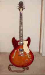 Jay Turser 335-style JT-135.jpg